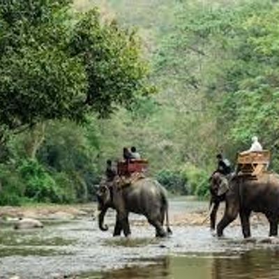 Jaldapara National Park